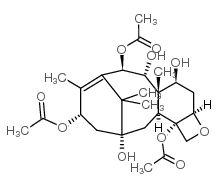 13-Acetyl-9-dihydrobaccatin-III