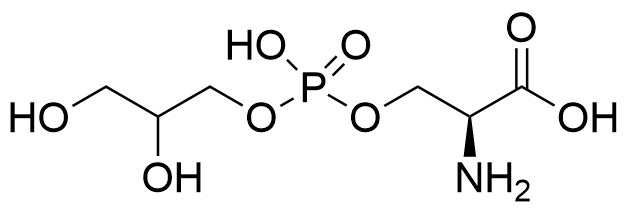 (2S)​-​2-Amino-​3-​[2,​3-​dihydroxypropoxy(hyd​roxy)​phosphoryl]​oxypropanoic Acid