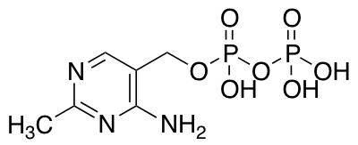 (4-Amino-2-methylpyrimidin-5-yl)methyl Trihydrogen Diphosphate