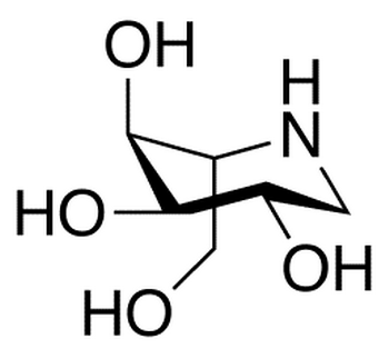 1-Deoxy-L-altronojirimycin Hydrochloride (>90%)